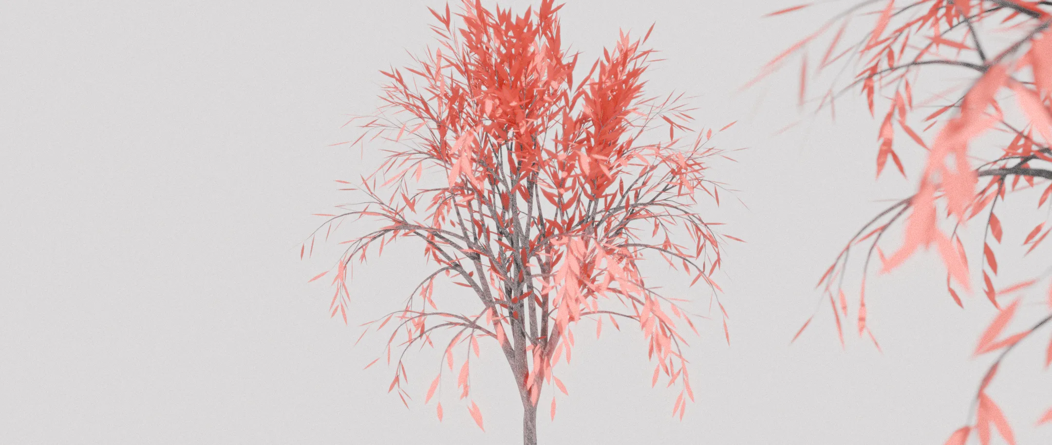 A render of a pretty reddish tree with defocused leaves of another tree creeping from the side